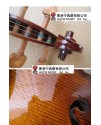 Calvin Sang CS-V05 小提琴